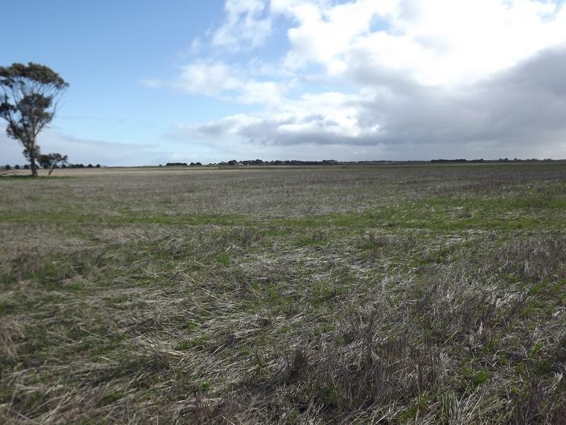 150 Camperdown Road, Derrinallum VIC 3325