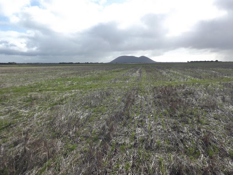 150 Camperdown Road, Derrinallum VIC 3325