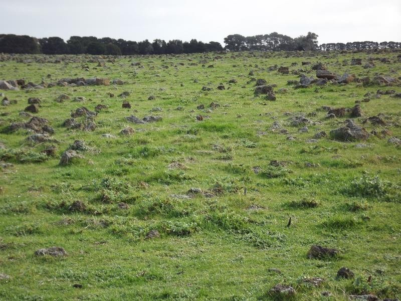 150 Camperdown Road, Derrinallum VIC 3325