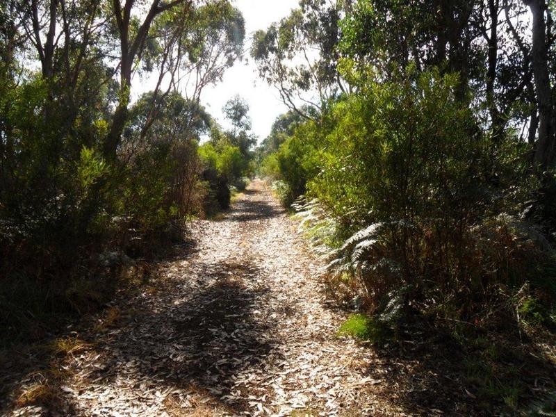 9 Alexanders Road, Elingamite VIC 3266