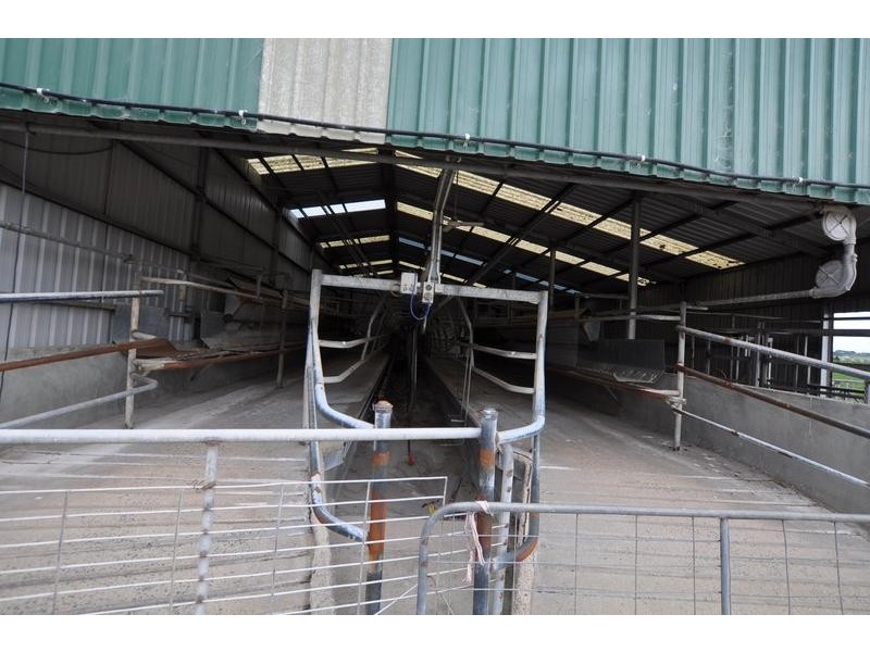 83 Depot Road, Camperdown VIC 3260