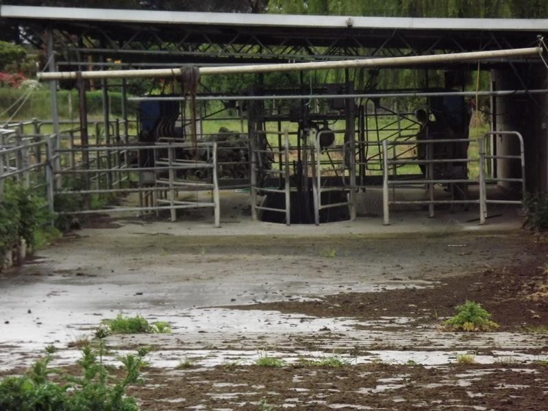 Derrinallum VIC 3325