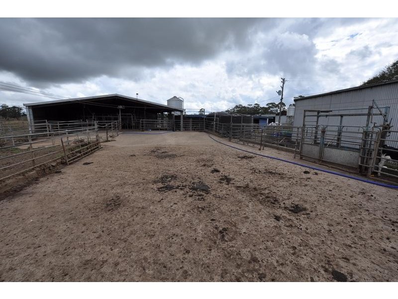 133 Soundrys Road, Elingamite VIC 3266