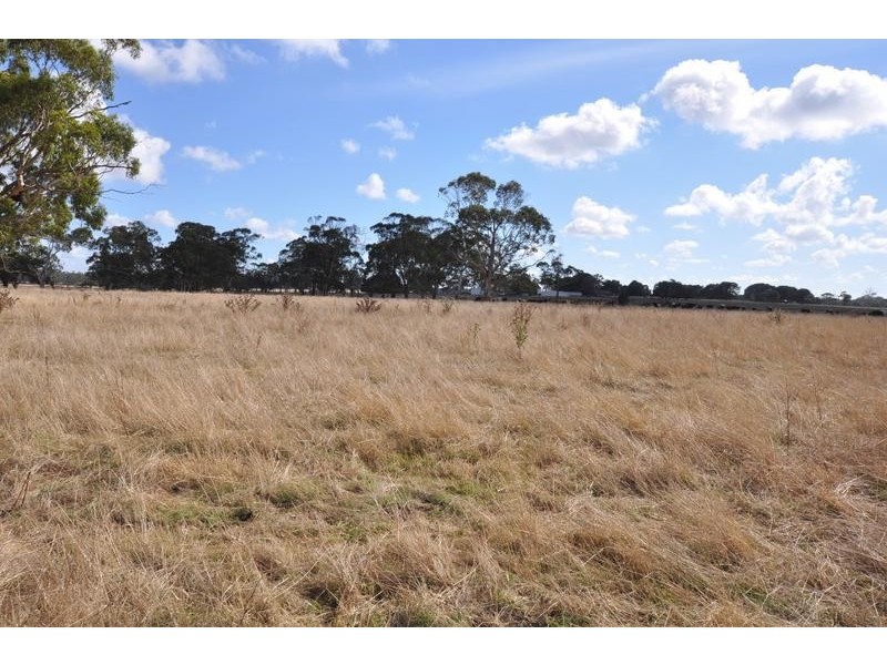 133 Soundrys Road, Elingamite VIC 3266