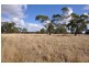 133 Soundrys Road, Elingamite VIC 3266