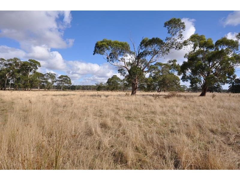 133 Soundrys Road, Elingamite VIC 3266