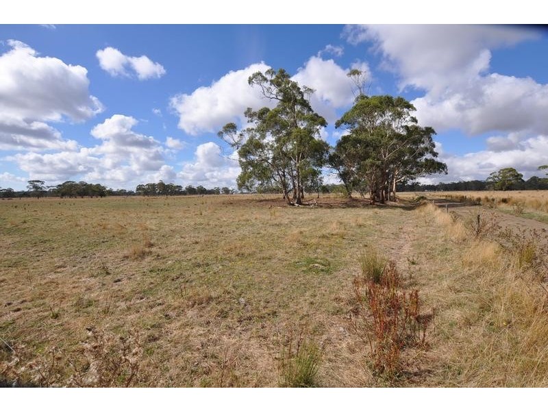 133 Soundrys Road, Elingamite VIC 3266