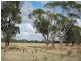 133 Soundrys Road, Elingamite VIC 3266
