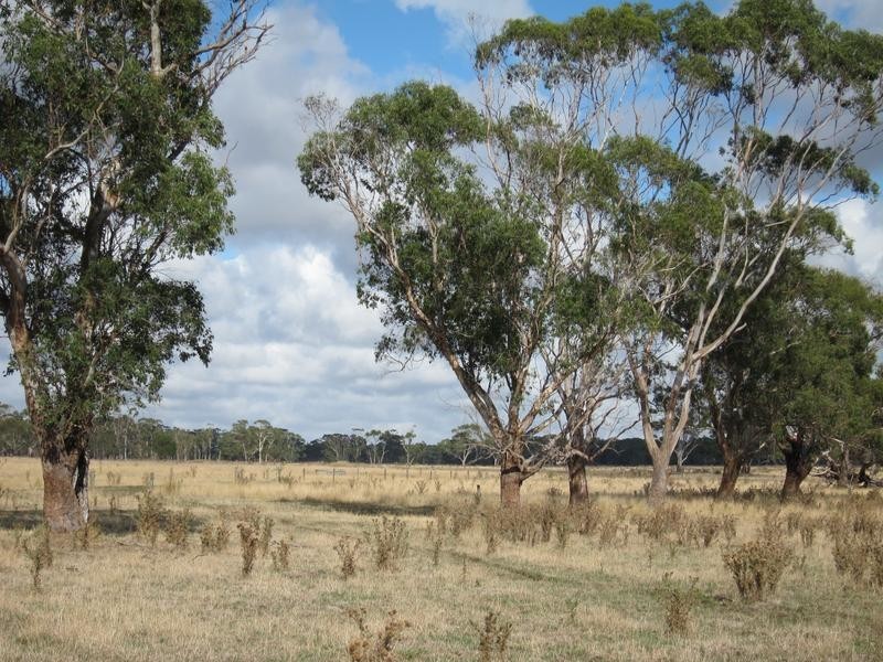 133 Soundrys Road, Elingamite VIC 3266