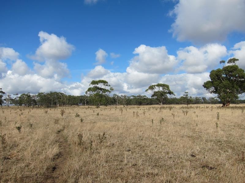133 Soundrys Road, Elingamite VIC 3266