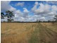 133 Soundrys Road, Elingamite VIC 3266