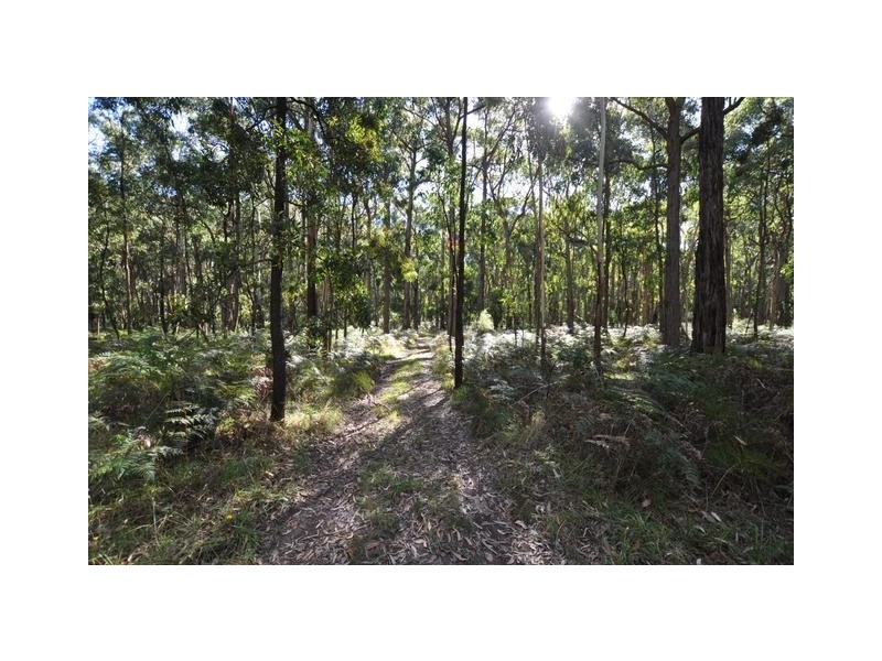 Lot TP 817312, Lot 1 Cemetery Road, Cobden VIC 3266