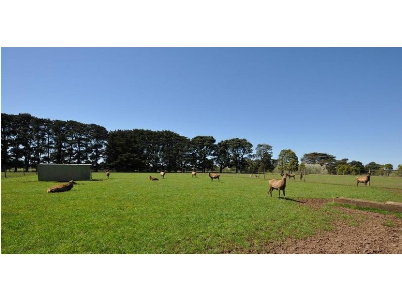 110 Cobden-Terang Road, Cobden VIC 3266