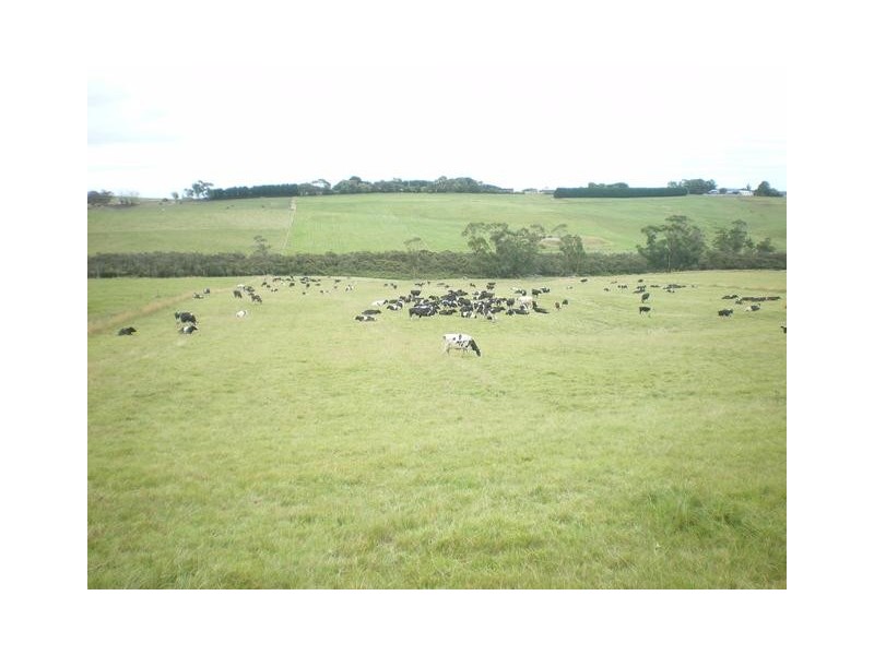 326 Crescent Road, Simpson VIC 3266