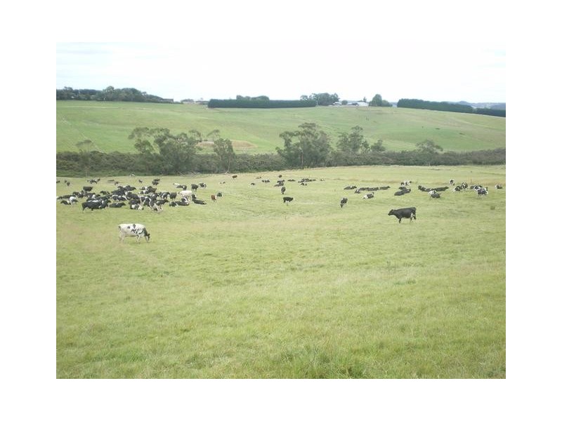 326 Crescent Road, Simpson VIC 3266