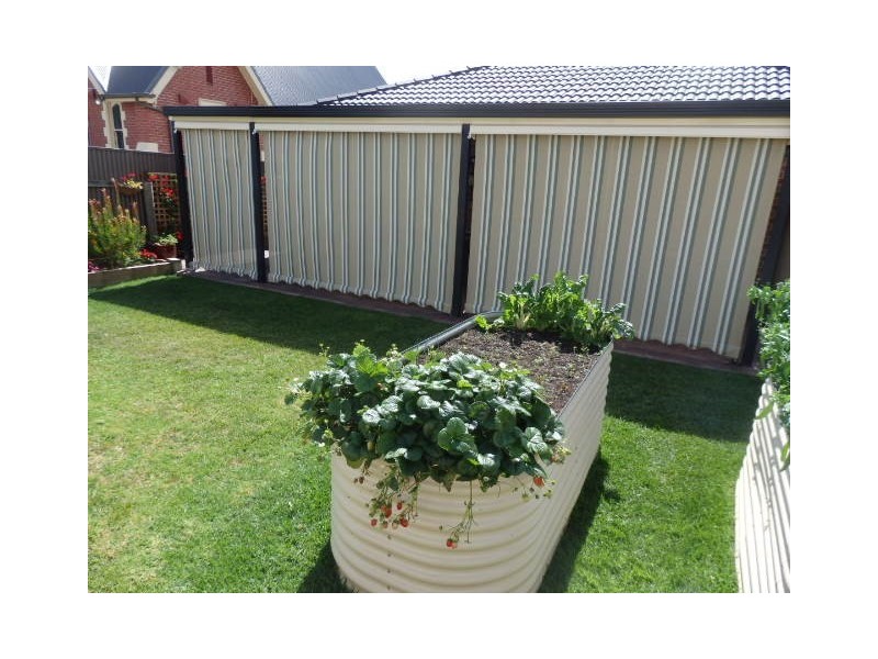 2/65 Curdie Street, Cobden VIC 3266