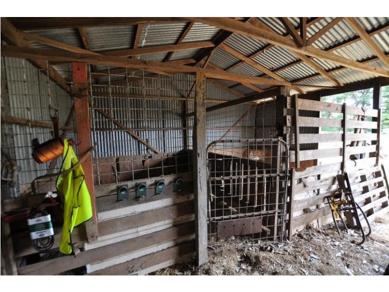 1245 Colac-Timboon Road, Jancourt East VIC 3266