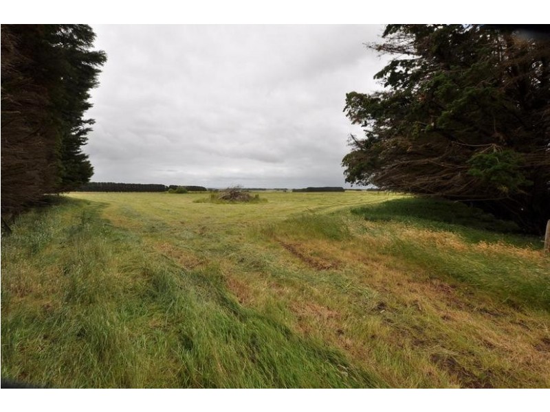 282 Timboon- Colac Road, Jancourt East VIC 3266