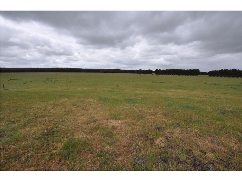 282 Timboon- Colac Road, Jancourt East VIC 3266