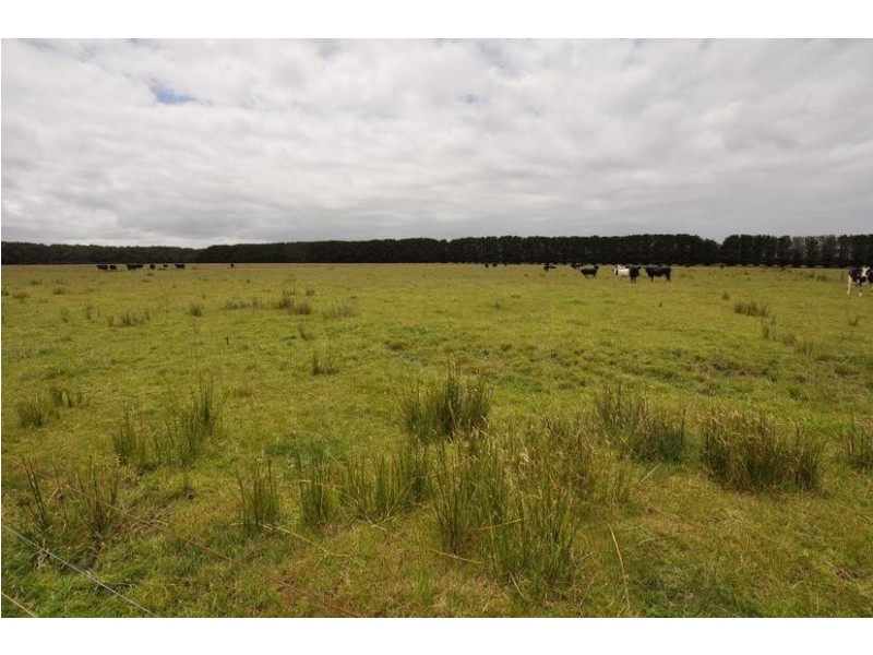 282 Timboon- Colac Road, Jancourt East VIC 3266