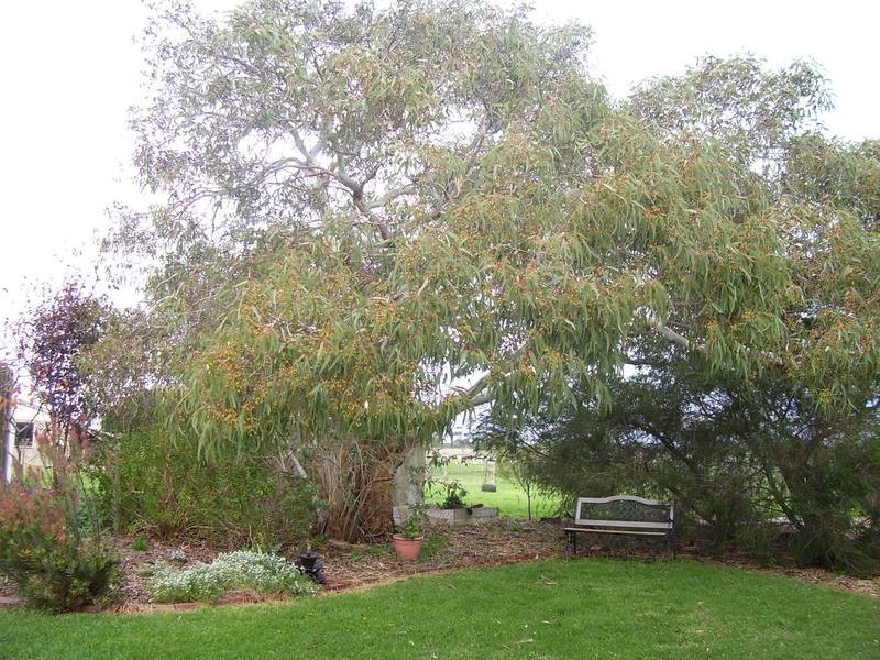 969 Cobden – Warrnambool Road, Glenfyne VIC 3266