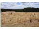 891 Boorook Road, Cooriemungle VIC 3268