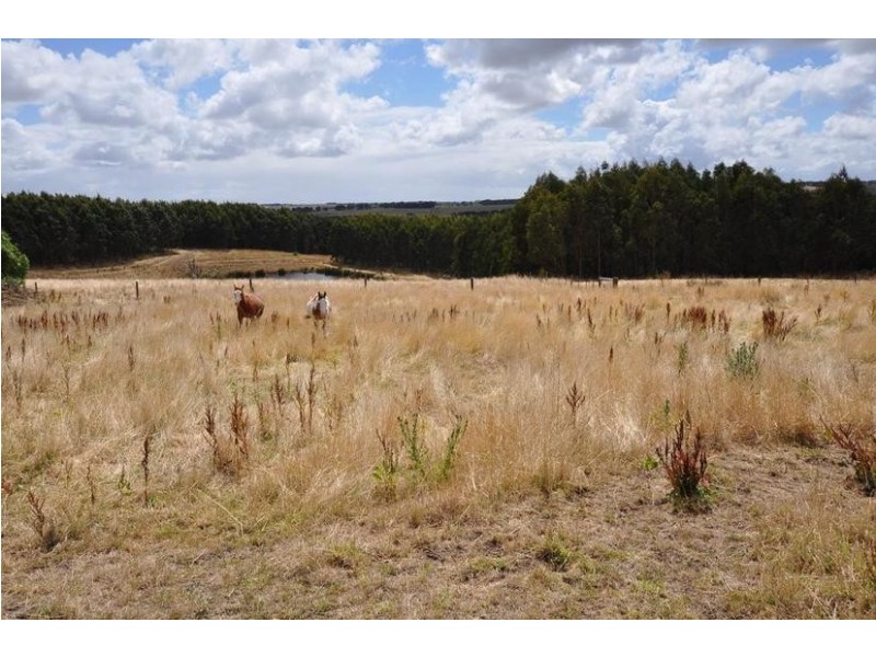 891 Boorook Road, Cooriemungle VIC 3268