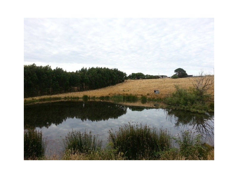 891 Boorook Road, Cooriemungle VIC 3268