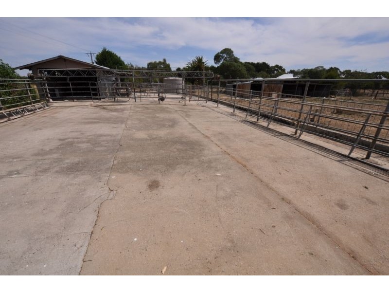 149 Coradjil Road, Simpson VIC 3266