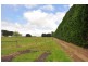 360 Jancourt Road, Bostocks Creek VIC 3260