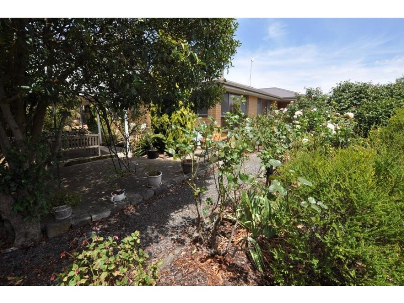 200 Hinkleys Road, Tandarook VIC 3260
