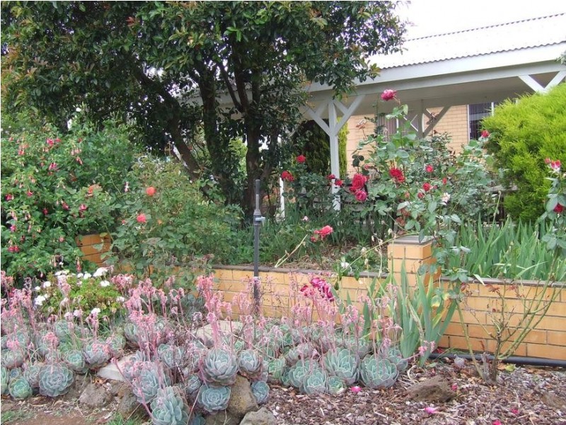 200 Hinkleys Road, Tandarook VIC 3260