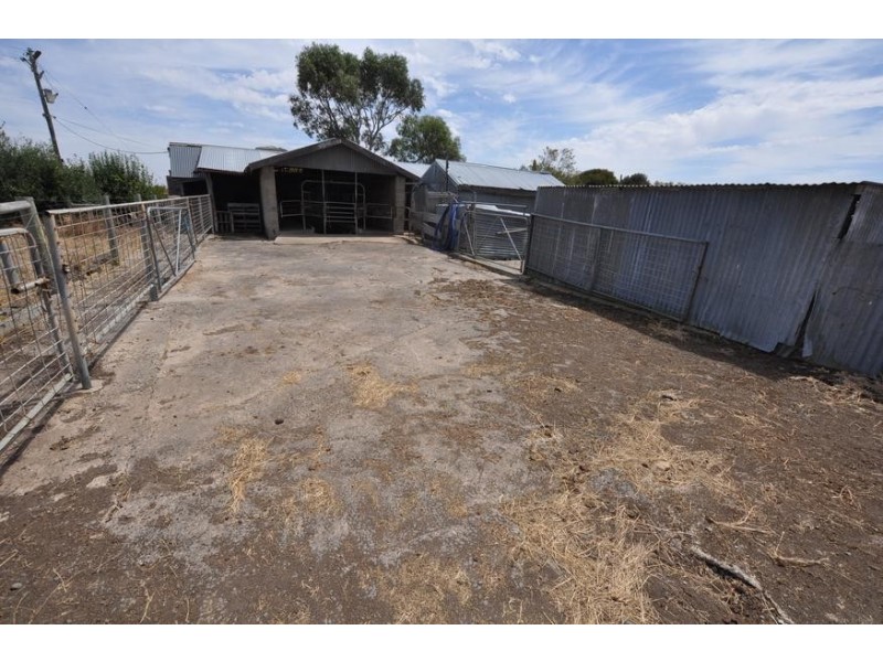 200 Hinkleys Road, Tandarook VIC 3260