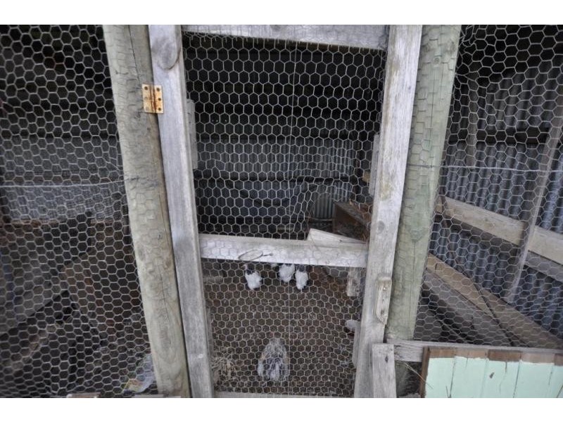 102 Neilsons Road, Ecklin South VIC 3265