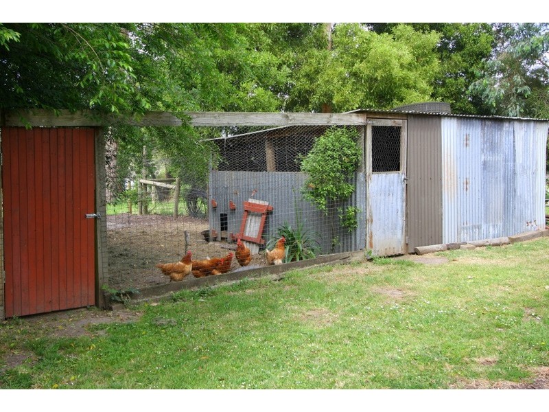29 Morgan Street, Timboon VIC 3268