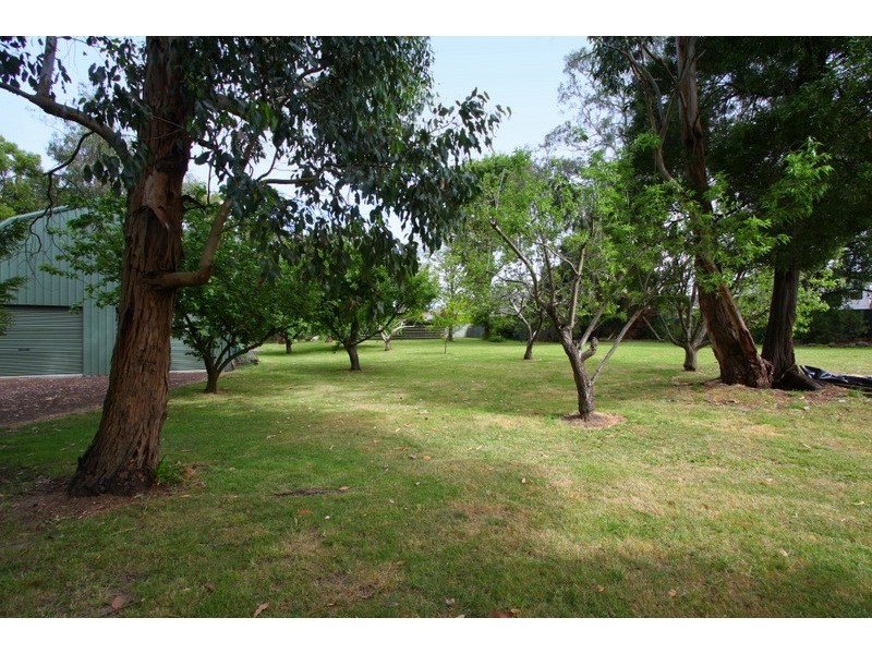 29 Morgan Street, Timboon VIC 3268