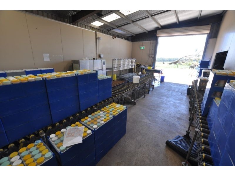 117 Timboon – Scotts Creek Road, Timboon VIC 3268