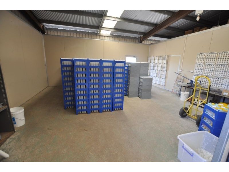 117 Timboon – Scotts Creek Road, Timboon VIC 3268