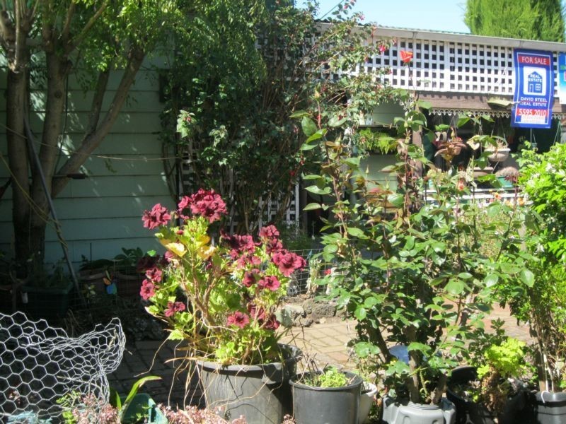 2/51 Curdie Street, Cobden VIC 3266