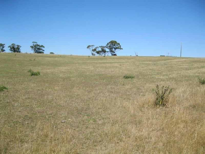 109 Digneys Bridge Road, Timboon VIC 3268