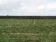 6106 Henty Hwy, Branxholme VIC 3302