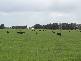6106 Henty Hwy, Branxholme VIC 3302
