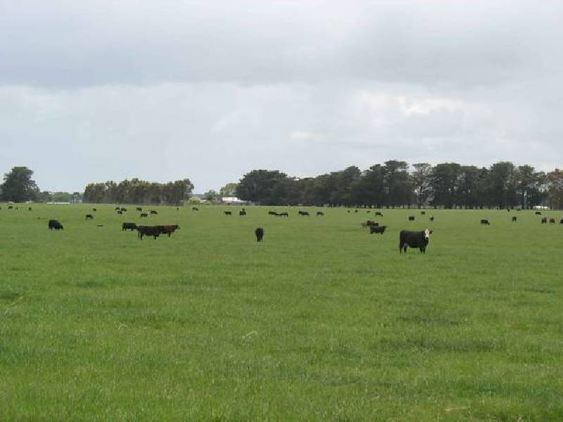 6106 Henty Hwy, Branxholme VIC 3302