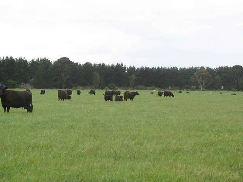 6106 Henty Hwy, Branxholme VIC 3302