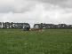 6106 Henty Hwy, Branxholme VIC 3302