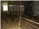 6106 Henty Hwy, Branxholme VIC 3302