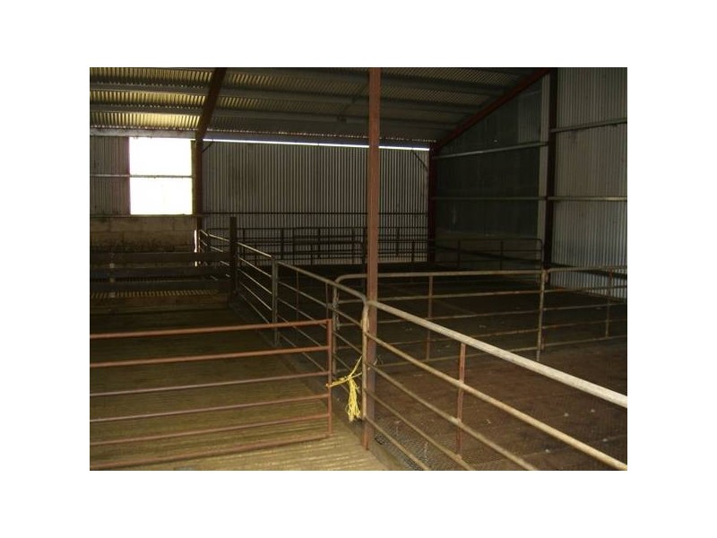 6106 Henty Hwy, Branxholme VIC 3302