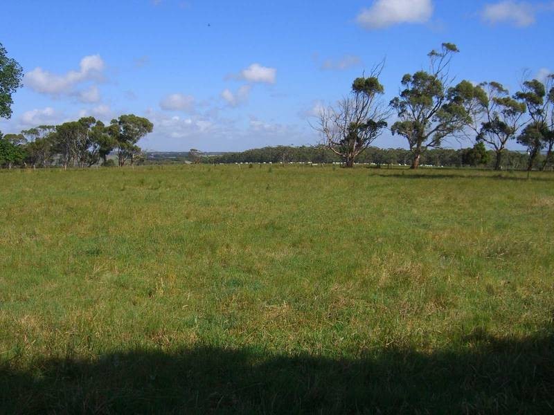 460 Old Port Campbell, Jancourt VIC 3266