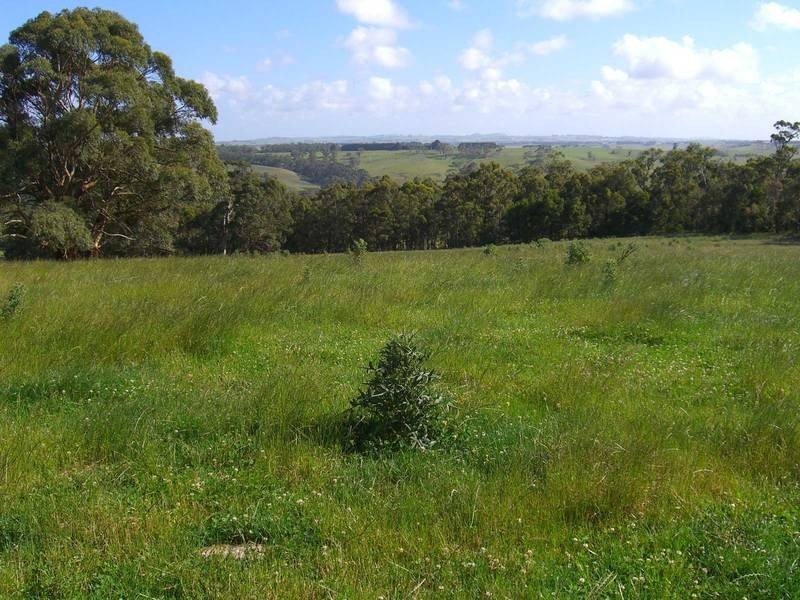 460 Old Port Campbell, Jancourt VIC 3266