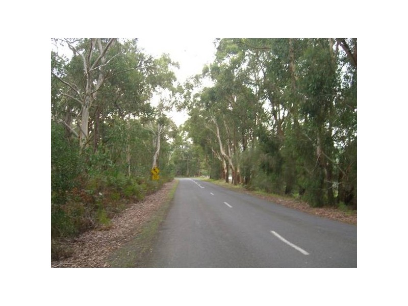 460 Old Port Campbell, Jancourt VIC 3266